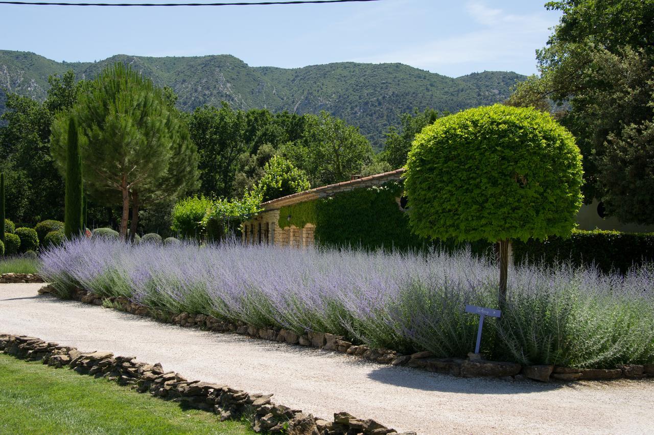 Bed and Breakfast Domaine Les Roullets Oppède Exteriér fotografie